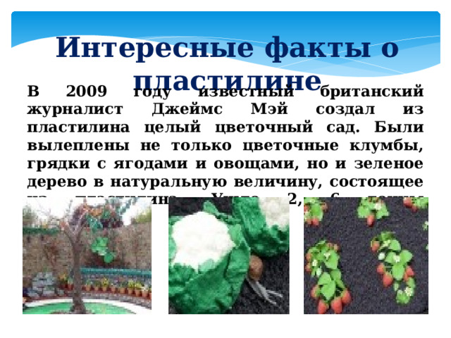 Интересные факты о пластилине В 2009 году известный британский журналист Джеймс Мэй создал из пластилина целый цветочный сад. Были вылеплены не только цветочные клумбы, грядки с ягодами и овощами, но и зеленое дерево в натуральную величину, состоящее из пластилина. Ушло 2, 6 тонны пластилина. 