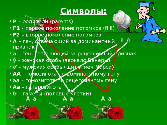 Символы:   P – родители ( parents ) F 1 - первое поколение потомков (filli) F 2 – второе поколение потомков A – ген, отвечающий за доминантный признак а – ген, отвечающий за рецессивный признак ♀ - женская особь (зеркало Венеры) ♂ - мужская особь ( щит и меч Марса ) АА – гомозигота по доминантному гену аа – гомозигота по рецессивному гену Аа – гетерозигота G – гаметы (половые клетки) 