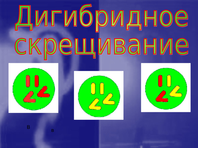 А а А А а В в а В В в в В в 