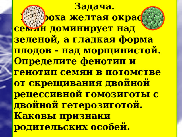 Закон независимого распределения признаков: при скрещивании двух гомозиготных организмов, отличающихся друг от друга по двум( и более) парам альтернативных признаков, гены и соответствующие им признаки наследуются независимо друг от друга и комбинируются во всех возможных сочетаниях. 