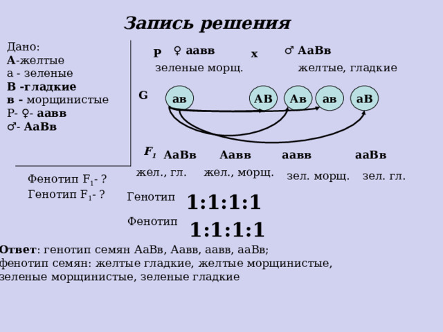 Задача.  У гороха желтая окраска семян доминирует над зеленой, а гладкая форма плодов - над морщинистой. Определите фенотип и генотип семян в потомстве от скрещивания двойной рецессивной гомозиготы с двойной гетерозиготой. Каковы признаки родительских особей.  