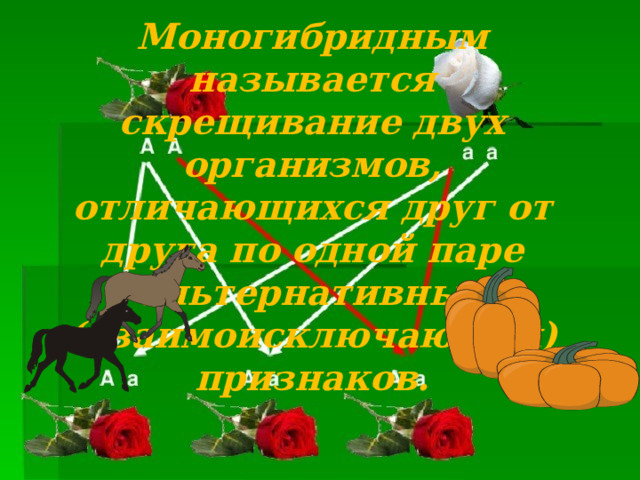 Моногибридным называется скрещивание двух организмов, отличающихся друг от друга по одной паре альтернативных (взаимоисключающих) признаков.  