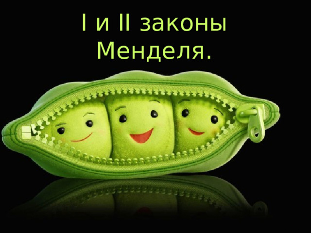 I и II законы Менделя. 