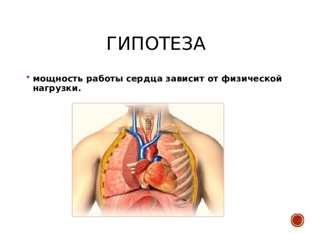 Гипотеза мощность работы сердца зависит от физической нагрузки. 