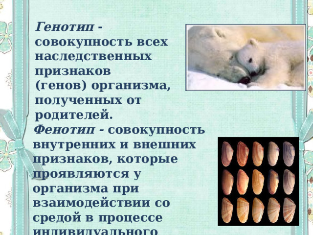 Генотип - совокупность всех наследственных признаков (генов) организма, полученных от родителей. Фенотип - совокупность внутренних и внешних признаков, которые проявляются у организма при взаимодействии со средой в процессе индивидуального развития.   