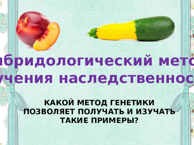 Гибридологический метод изучения наследственности. Какой метод генетики позволяет получать и изучать такие примеры? 