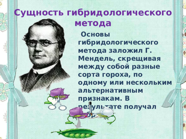 Сущность гибридологического метода  Основы гибридологического метода заложил Г. Мендель, скрещивая между собой разные сорта гороха, по одному или нескольким альтернативным признакам. В результате получал гибрид 