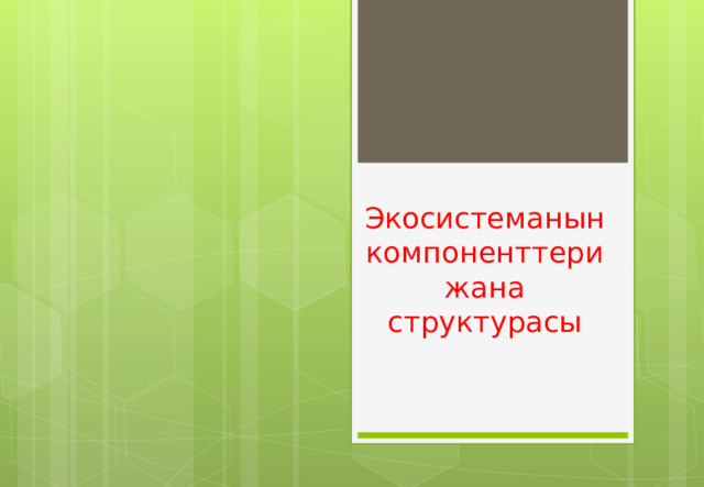  Экосистеманын компоненттери жана структурасы 