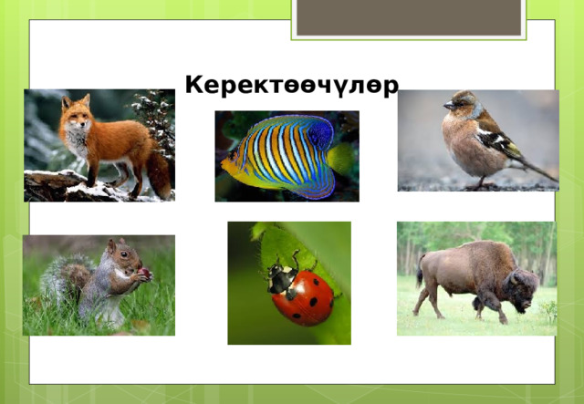 Керектөөчүлөр 