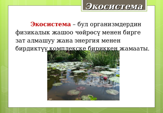 Экосистема  Экосистема – бул организмдердин физикалык жашоо чөйрөсү менен бирге зат алмашуу жана энергия менен бирдиктүү комплекске бириккен жамааты.  