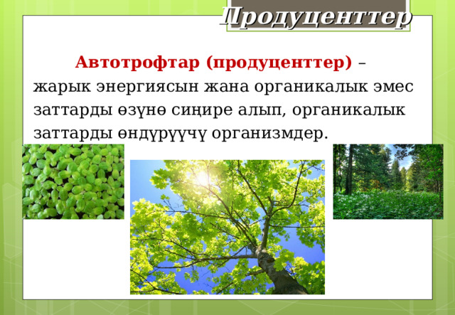 Продуценттер  Автотрофтар (продуценттер) – жарык энергиясын жана органикалык эмес заттарды өзүнө сиңире алып, органикалык заттарды өндүрүүчү организмдер.  