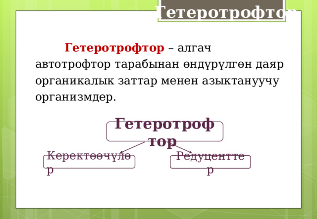 Гетеротрофтор  Гетеротрофтор – алгач автотрофтор тарабынан өндүрүлгөн даяр органикалык заттар менен азыктануучу организмдер.  Гетеротрофтор Керектөөчүлөр Редуценттер 