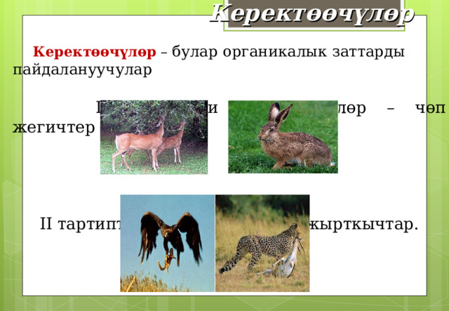 Керектөөчүлөр  Керектөөчүлөр  – булар органикалык заттарды пайдалануучулар   I тартиптеги керектөөчүлөр – чөп жегичтер II тартиптеги керектөөчүлөр – жырткычтар. 