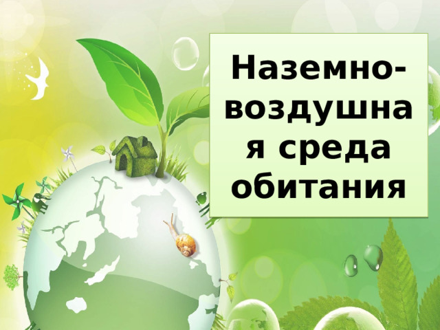 Наземно-воздушная среда обитания 
