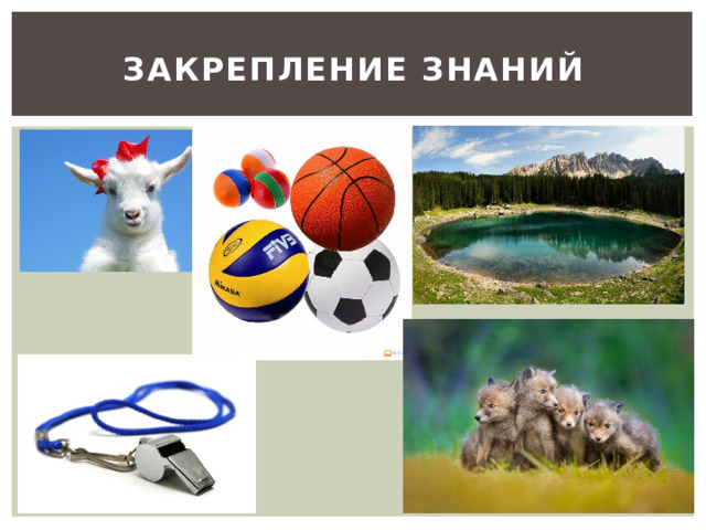Закрепление знаний 