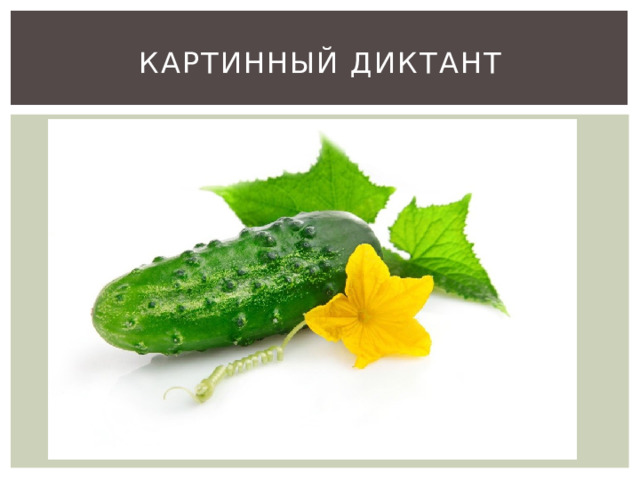 Картинный диктант 