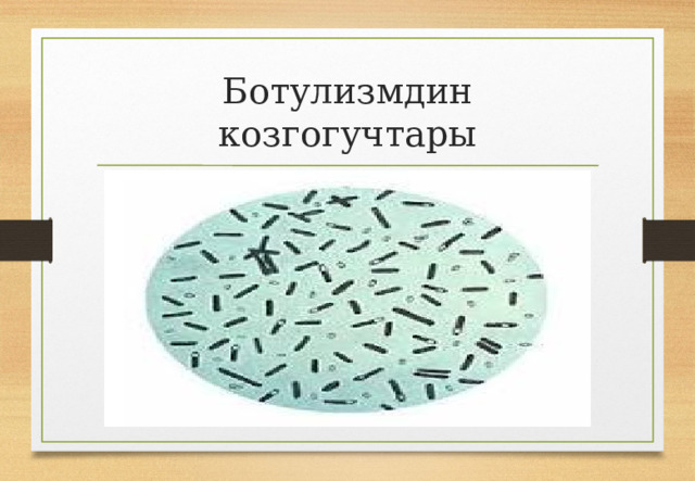 Ботулизмдин козгогучтары 