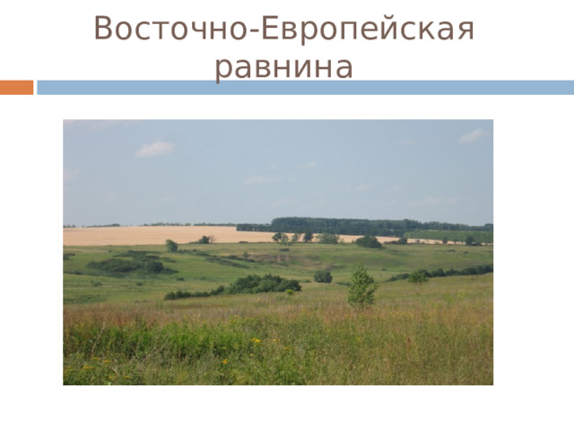 Восточно-Европейская равнина 
