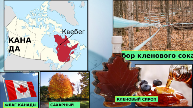  Квебег КАНАДА Сбор кленового сока КЛЕНОВЫЙ СИРОП ФЛАГ КАНАДЫ САХАРНЫЙ КЛЕН 