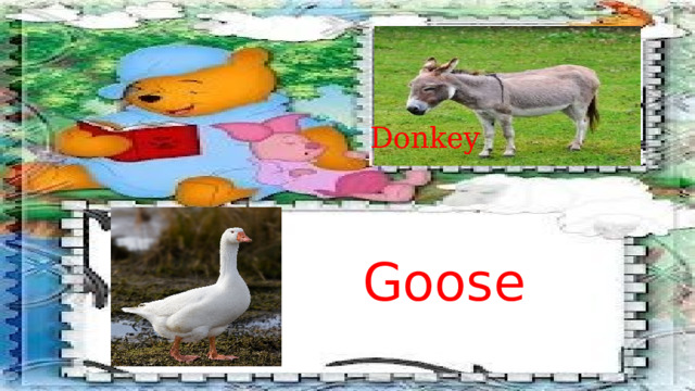 Donkey  Goose 
