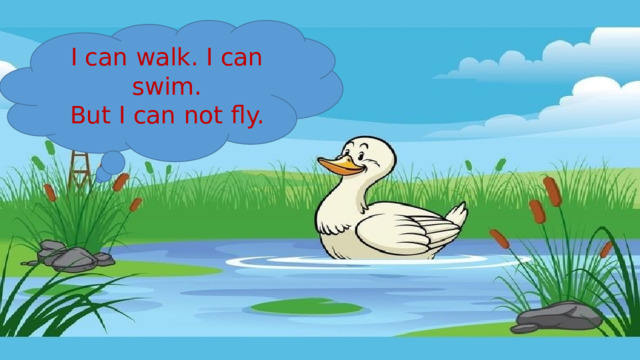 I can walk. I can swim. But I can not fly. 