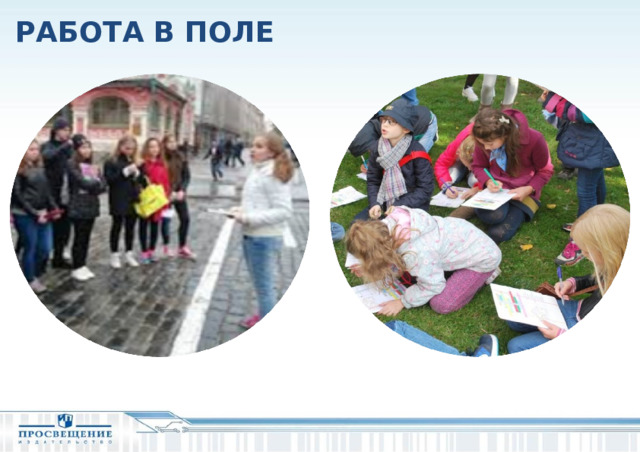 РАБОТА В ПОЛЕ  