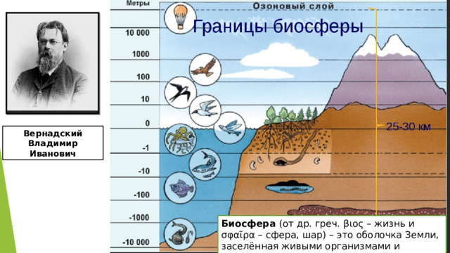 Вернадский Владимир Иванович Биосфера  (от др. греч. βιος – жизнь и σφαῖρα – сфера, шар) – это оболочка Земли, заселённая живыми организмами и преобразованная ими. 