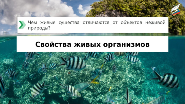 Свойства живых организмов 