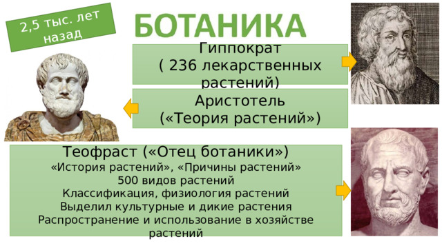 2,5 тыс. лет назад Гиппократ ( 236 лекарственных растений) Аристотель («Теория растений») Теофраст («Отец ботаники») «История растений», «Причины растений» 500 видов растений Классификация, физиология растений Выделил культурные и дикие растения Распространение и использование в хозяйстве растений 