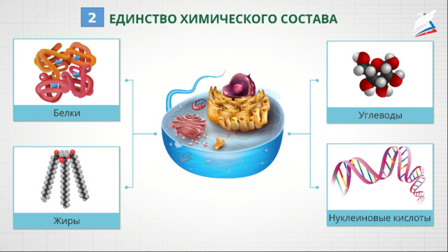 2 