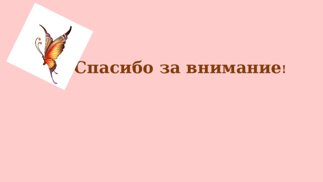 Спасибо за внимание ! 
