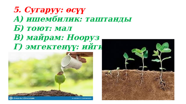 5. Сугаруу: өсүү А) ишембилик: таштанды Б) тоют: мал В) майрам: Нооруз Г) эмгектенүү: ийгилик 