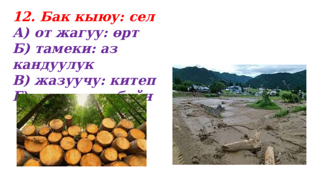 12. Бак кыюу: сел А) от жагуу: өрт Б) тамеки: аз кандуулук В) жазуучу: китеп Г) талаа: комбайн 