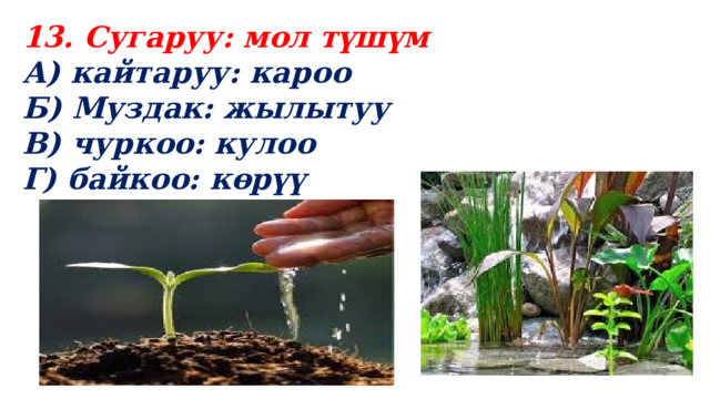 13. Сугаруу: мол түшүм А) кайтаруу: кароо Б) Муздак: жылытуу В) чуркоо: кулоо Г) байкоо: көрүү 