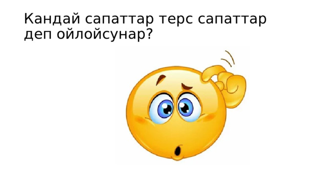 Кандай сапаттар терс сапаттар деп ойлойсунар? 