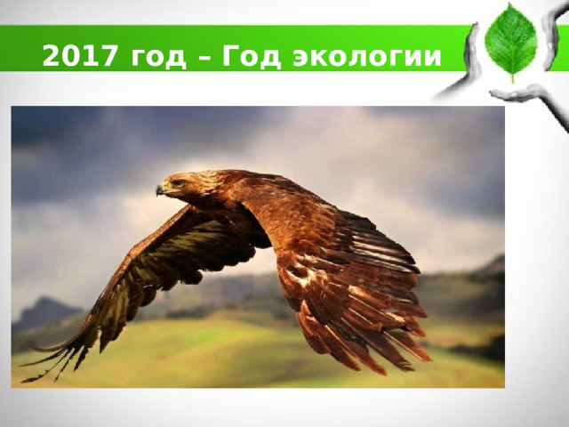 2017 год – Год экологии 
