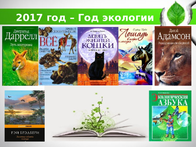 2017 год – Год экологии 