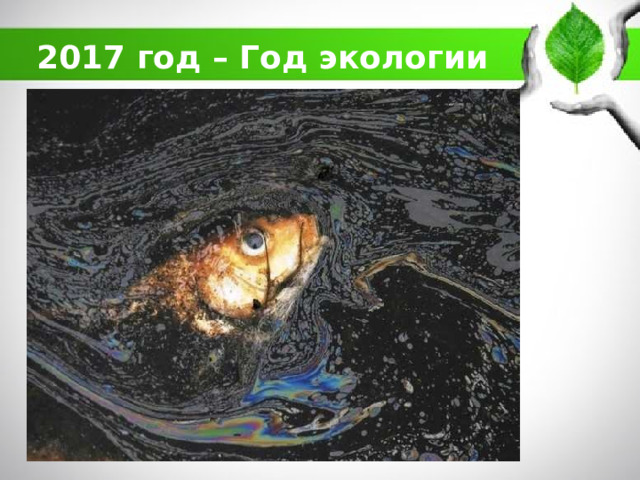 2017 год – Год экологии 