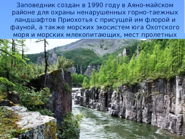  Заповедник создан в 1990 году в Аяно-майском районе для охраны ненарушенных горно-таежных ландшафтов Приохотья с присущей им флорой и фауной, а также морских экосистем юга Охотского моря и морских млекопитающих, мест пролетных скоплений птиц .   