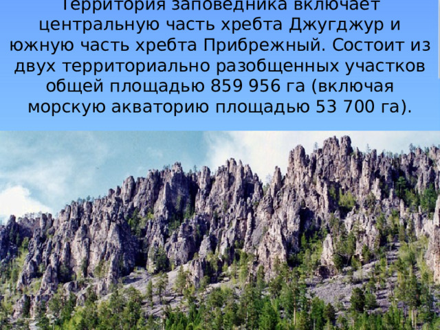 Территория заповедника включает центральную часть хребта Джугджур и южную часть хребта Прибрежный. Состоит из двух территориально разобщенных участков общей площадью 859 956 га (включая морскую акваторию площадью 53 700 га).    
