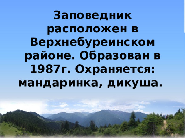  Заповедник расположен в Верхнебуреинском районе. Образован в 1987г. Охраняется: мандаринка, дикуша.   