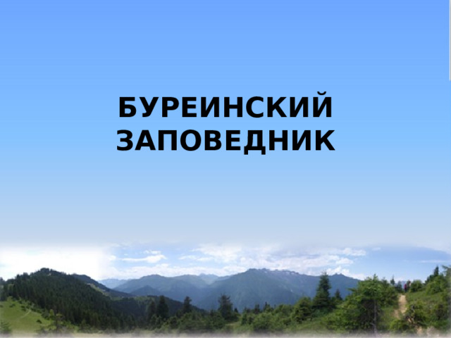    БУРЕИНСКИЙ ЗАПОВЕДНИК 