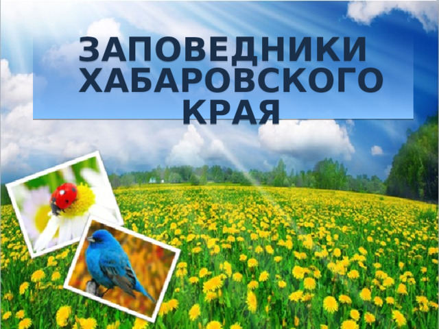 Заповедники хабаровского края 