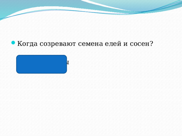 Когда созревают семена елей и сосен?  В конце зимы 