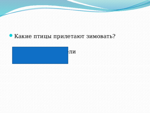Какие птицы прилетают зимовать?  снегири, свиристели 
