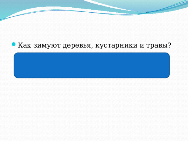 Как зимуют деревья, кустарники и травы?  кустарники и лиственные деревья сбрасывают листву, многие травы желтеют, хвойные деревья стоят зеленые 