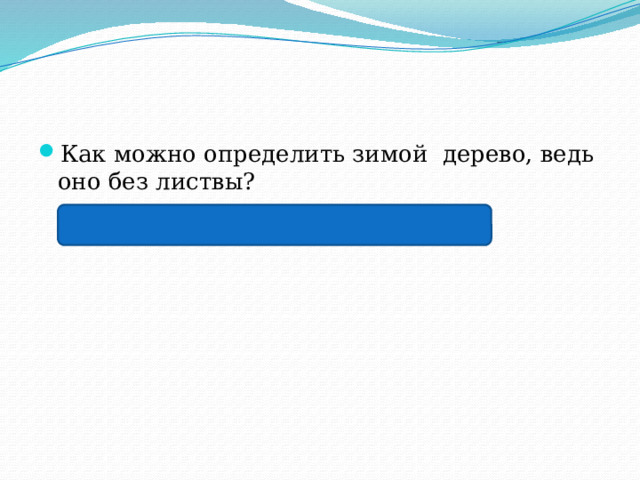 Как можно определить зимой дерево, ведь оно без листвы?  По стволу, по плодам, по семенам 