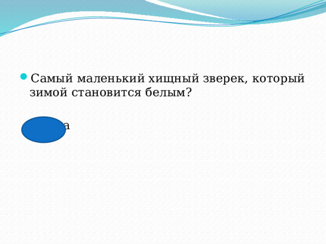 Самый маленький хищный зверек, который зимой становится белым?  ласка 