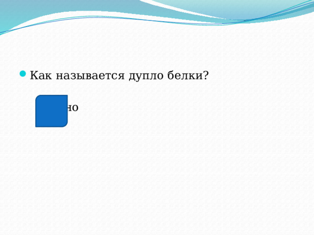 Как называется дупло белки?  гайно 