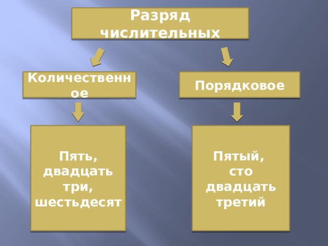 Разряд числительных Количественное Порядковое Пять, двадцать три, шестьдесят Пятый, сто двадцать третий 